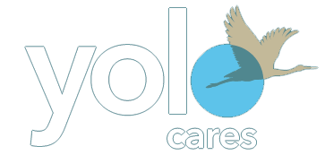 YoloCares logo